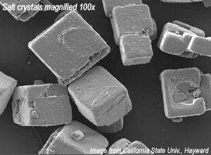 Salt crystal cubes magnified 100x.
