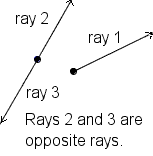 Examples of rays.
