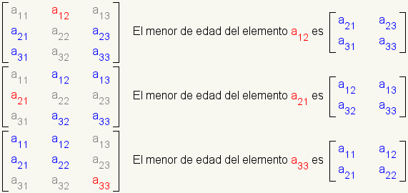 Para la matriz 3x3: fila 1: a11, a12, a13, fila 2: a21, a22, a23, fila 3: a31, a32, a33; el cofactor del elemento a12 es arsenal: row1: a21, a23; fila 2: a31, a33; el cofactor del elemento a21 es arsenal: row1: a12, a13; fila 2: a32, a33; el cofactor del elemento a33 es arsenal: row1: a11, a12; fila 2: a21, a22;