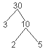 factor tree of 30