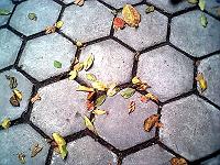 Hexagonal pavement tiles.