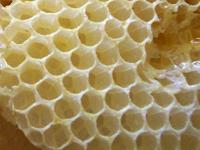 A hexagonal honeycomb with bees on it.