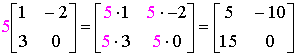Lo escalare 5 que son multiplicados por una matriz 2x2.