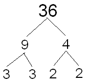 Prime factor tree