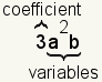 the term 3a^2b, of which 3 is the coefficient and a^2b is the variables